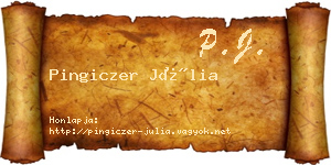 Pingiczer Júlia névjegykártya